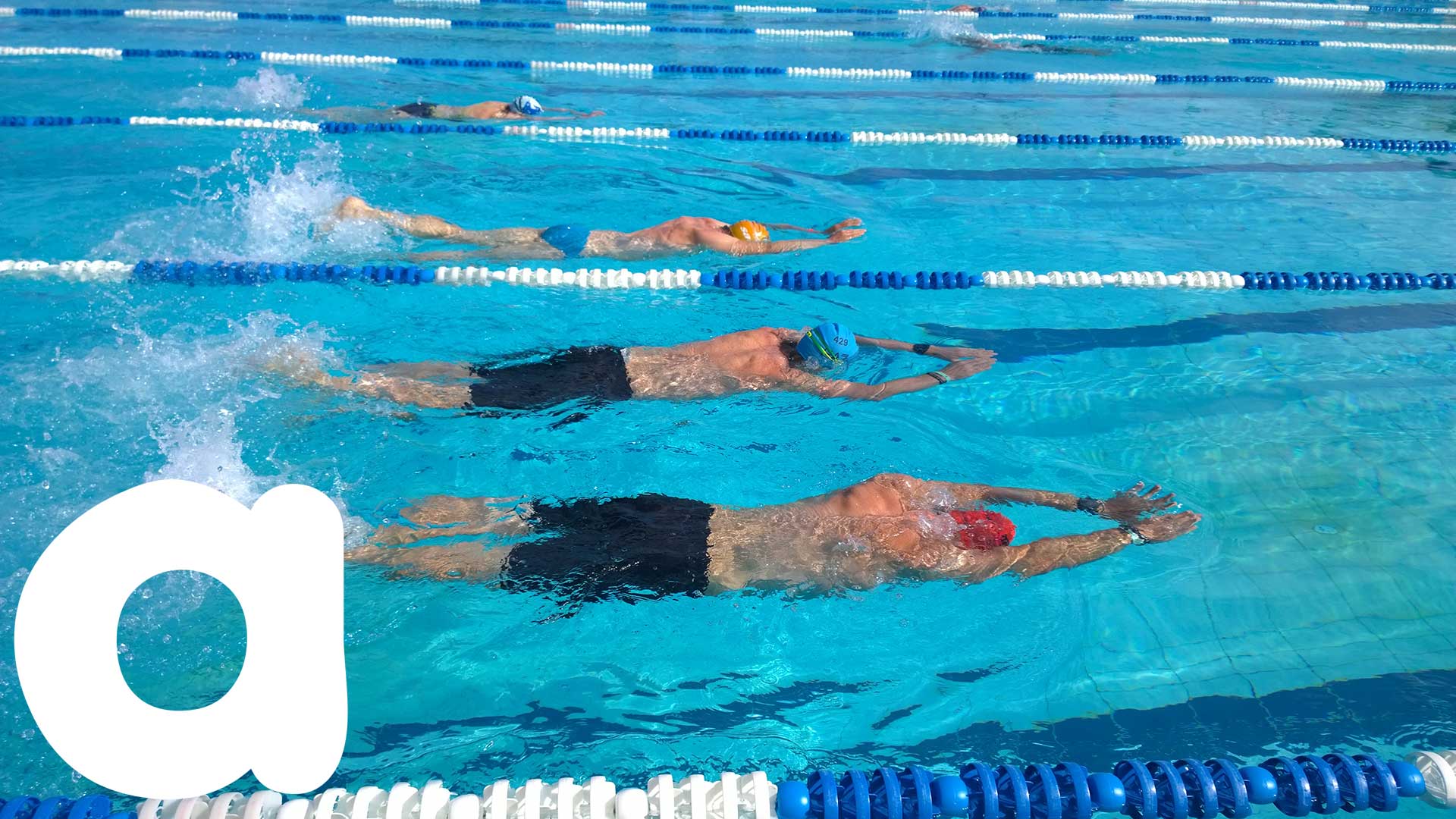 Die Idee - lerne vom Profi